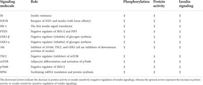 Effect of sera from elite athletes on cytokine secretion and insulin signaling in preadipocytes and skeletal muscle cells